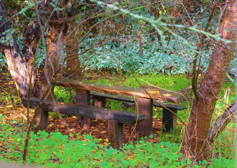 Black Cockatoo Lodge - Darwin Holiday 44