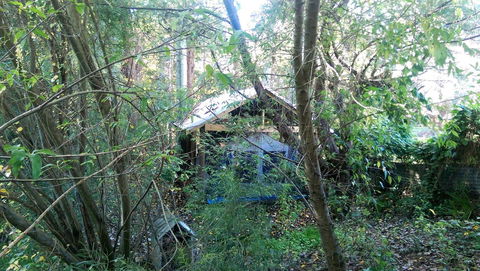 Black Cockatoo Lodge - Darwin Holiday 22