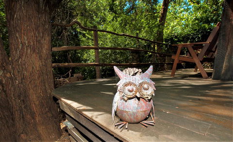 Black Cockatoo Lodge - Darwin Holiday 8