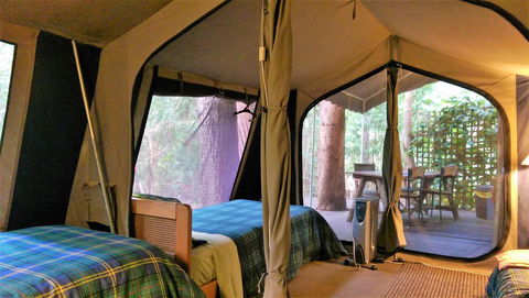 Black Cockatoo Lodge - Darwin Holiday 18