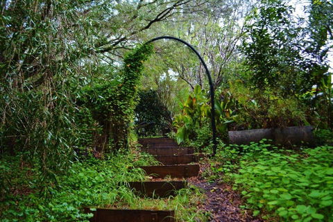 Black Cockatoo Lodge - Darwin Holiday 27