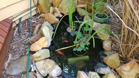 Black Cockatoo Lodge - Darwin Holiday 29