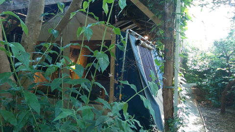 Black Cockatoo Lodge - Darwin Holiday 13