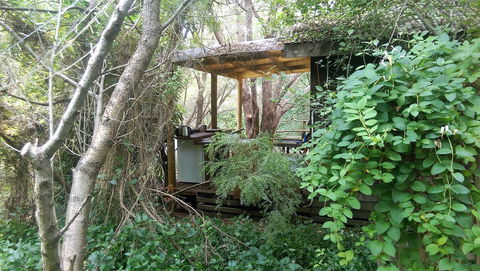 Black Cockatoo Lodge - Darwin Holiday 6