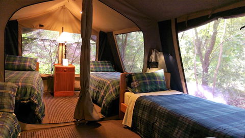 Black Cockatoo Lodge - Darwin Holiday 17