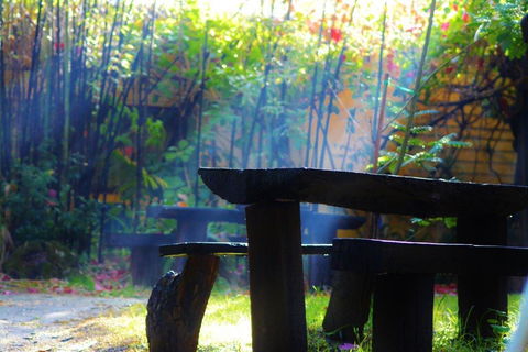 Black Cockatoo Lodge - Darwin Holiday 43