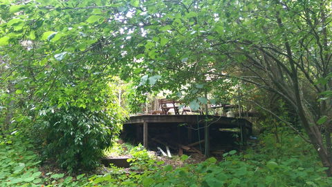 Black Cockatoo Lodge - Darwin Holiday 23