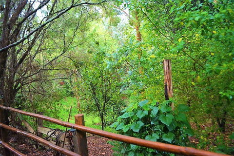 Black Cockatoo Lodge - Darwin Holiday 28