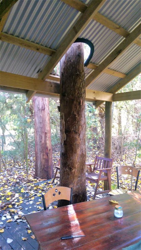 Black Cockatoo Lodge - Darwin Holiday 19