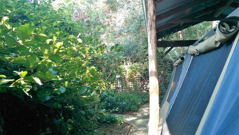 Black Cockatoo Lodge - Darwin Holiday 12