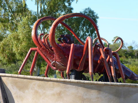 Leander Reef Holiday Park - Darwin Holiday 4