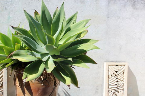 Moana Spa Villas - Prime Yallingup Location - Darwin Holiday 22