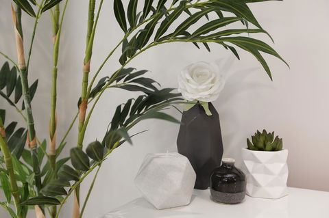 Perth Comfy Stays - Darwin Holiday 3