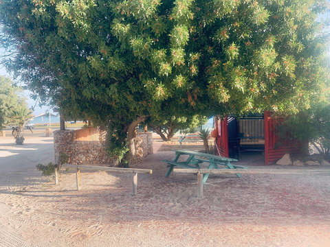 Shark Bay Cottages - Darwin Holiday 35