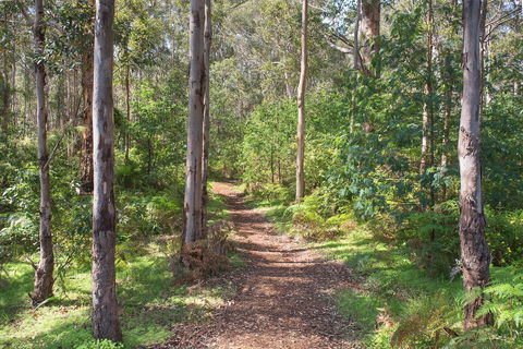 Tall Trees Margaret River - Darwin Holiday 4