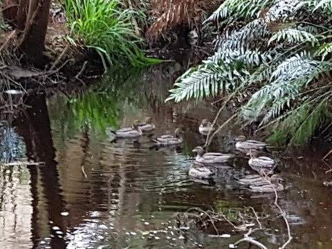 Strahan Retreat Holiday Park - Darwin Holiday 24