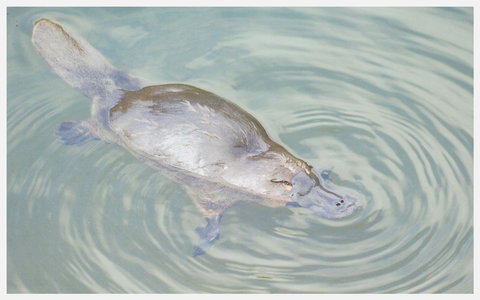 Strahan Retreat Holiday Park - Darwin Holiday 20