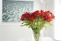 Book Kingston Beach Accommodation Vacations Darwin Holiday Darwin Holiday