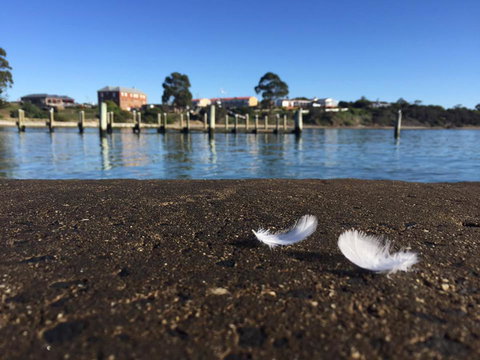 Swansea Holiday Park Tasmania - Darwin Holiday 39