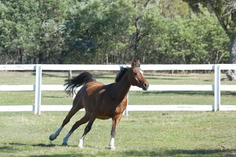 Country Club Villas - Darwin Holiday 19