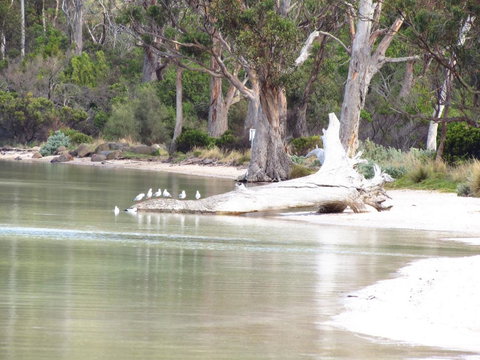 The Boat Shed - Darwin Holiday 12