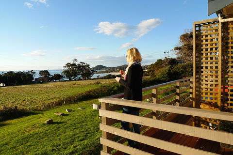 Beachend Bicheno - Darwin Holiday 0