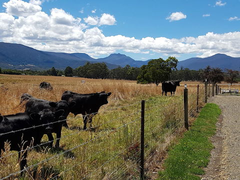 The Manager\'s Cottage - Darwin Holiday 6