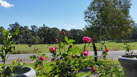 The Manager\'s Cottage - Darwin Holiday 17