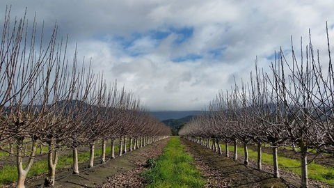 The Manager\'s Cottage - Darwin Holiday 18