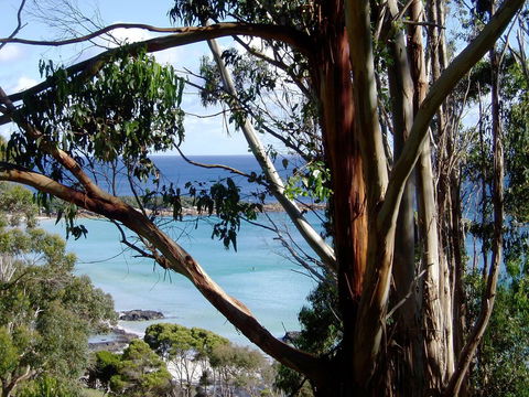 Seascape Beach House - Darwin Holiday 8