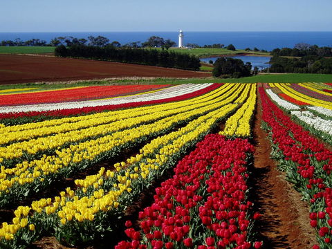 Seascape Beach House - Darwin Holiday 27
