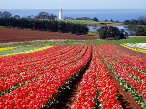 Seascape Beach House - Darwin Holiday 26