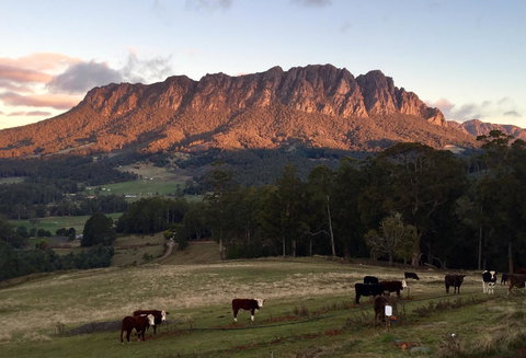 Manna Hill Farm - Darwin Holiday 10