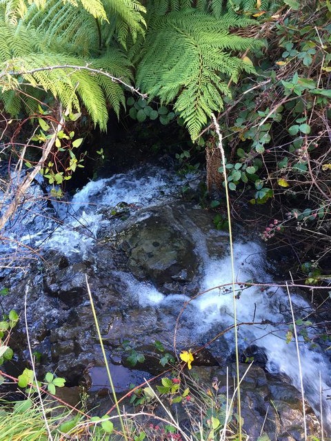 Manna Hill Farm - Darwin Holiday 26