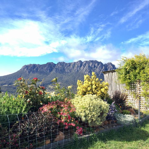 Manna Hill Farm - Darwin Holiday 1