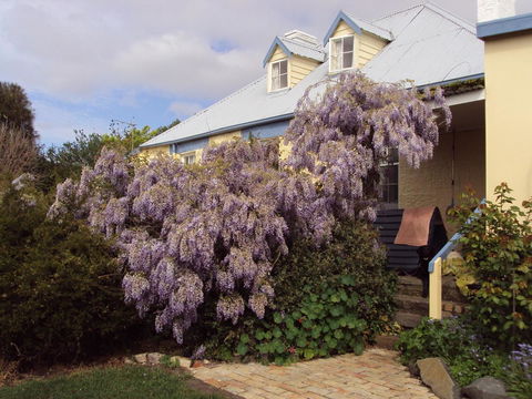 Orford's Sanda House B&B - Darwin Holiday 40