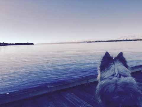 Wandering Geese Boutique Bed And Breakfast - Darwin Holiday 21