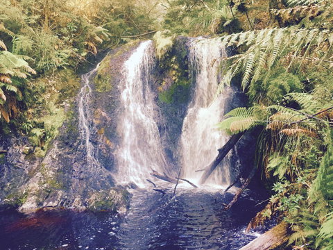 Wandering Geese Boutique Bed And Breakfast - Darwin Holiday 29