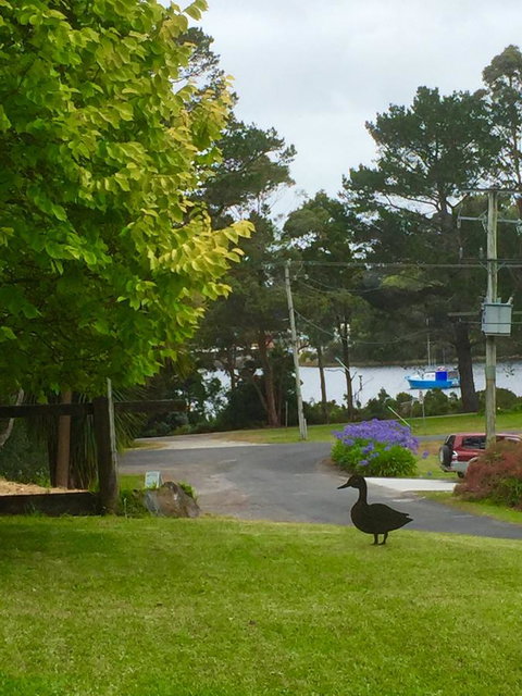 Wandering Geese Boutique Bed And Breakfast - Darwin Holiday 15