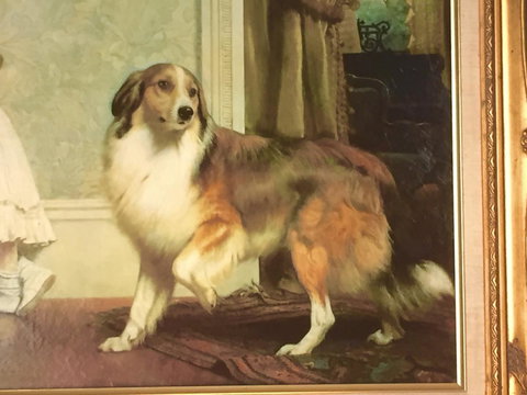 Wandering Geese Boutique Bed And Breakfast - Darwin Holiday 5