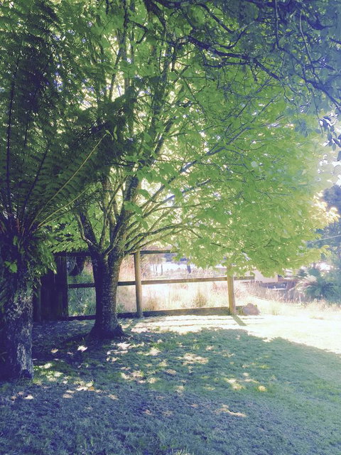 Wandering Geese Boutique Bed And Breakfast - Darwin Holiday 30