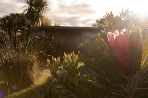 Eagle Peaks At Freycinet - Darwin Holiday 8