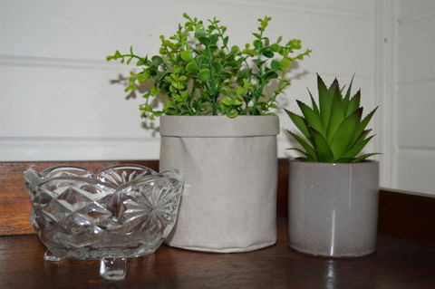 The Dragonfly Inn - Darwin Holiday 3