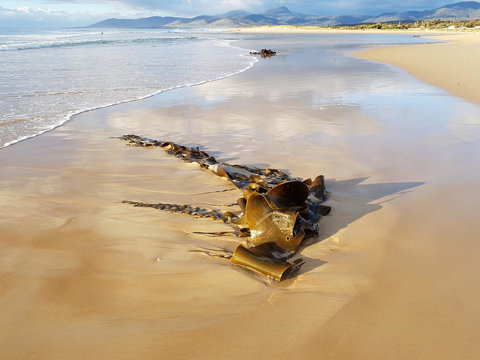 Blue Seas Holiday Villas - Darwin Holiday 11