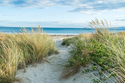 Freycinet Panorama - Darwin Holiday 17