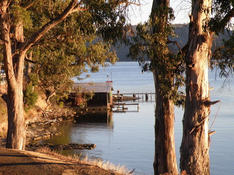 Driftwood - Darwin Holiday 13