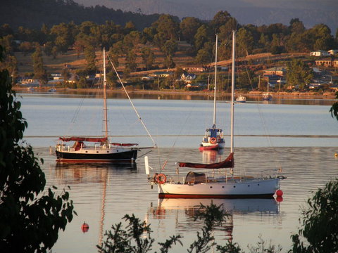 Driftwood - Darwin Holiday 12