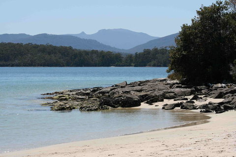 Driftwood - Darwin Holiday 14