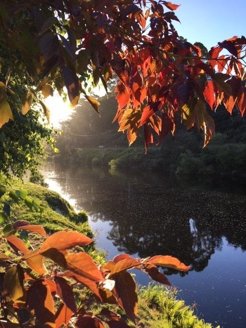 Forth River Cottage - Darwin Holiday 4