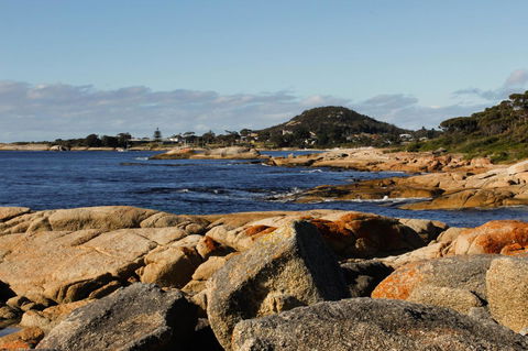 Mermaids Of Bicheno - Darwin Holiday 15